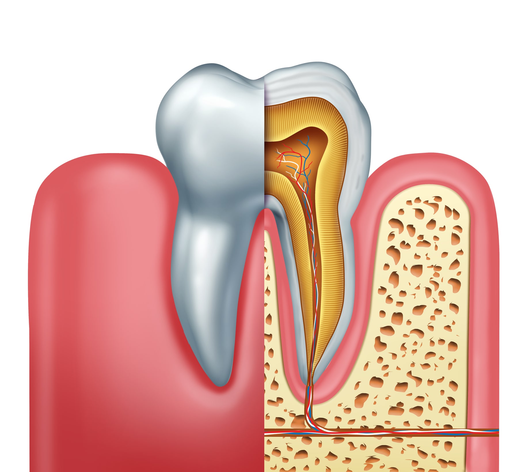 Root Canal Treatment Root Canal Treatment